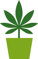 simple green graphic of cammabis leaf in a flower pot