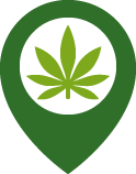 simple green graphic of cannabis leaf in a flower pot