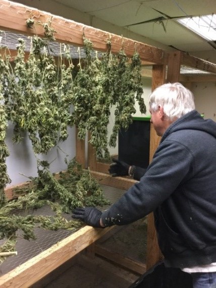 Hanging plants for drying above shoulders