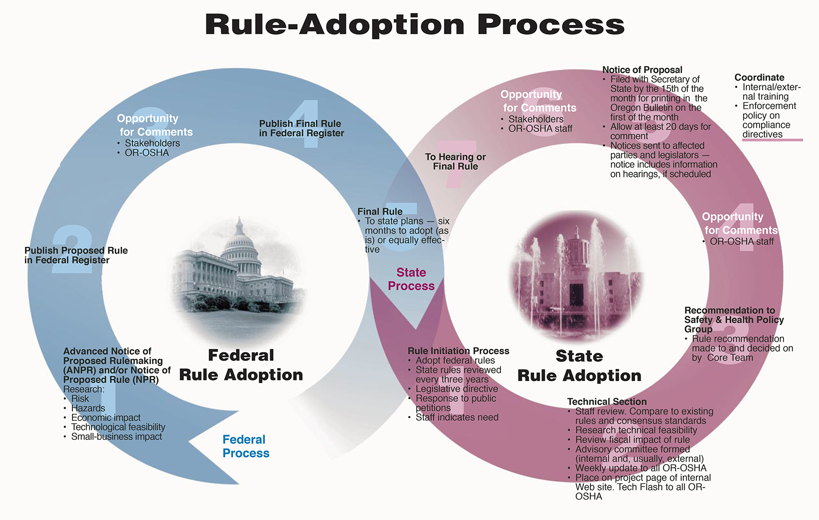 rule adoption process graphic