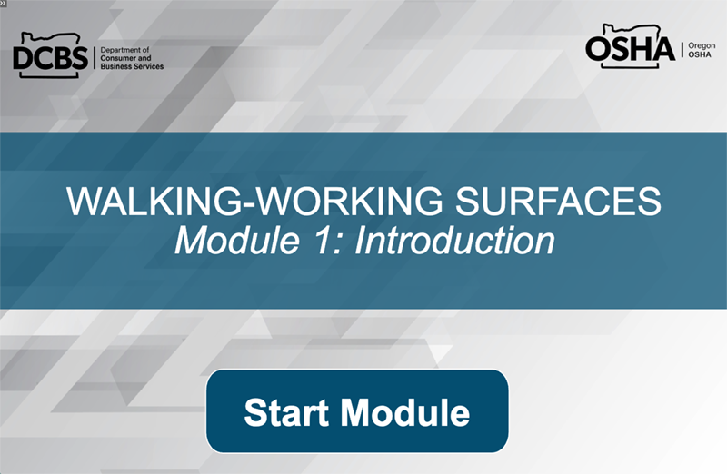 screen shot of online course