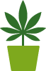 simple green graphic of cannabis leaf in a flower pot