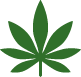graphic of a cannabis leaf