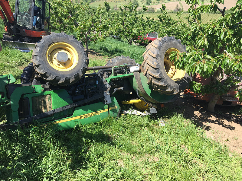 Photograph of tractor rolled over nearly upside down and up against a tree in a fruit orchard.