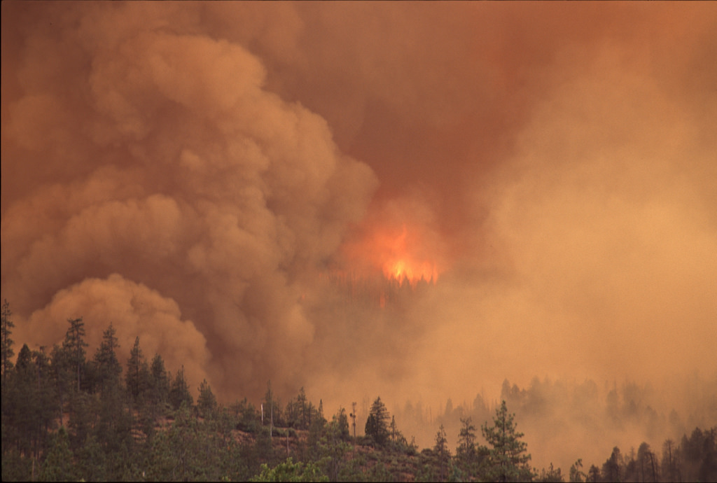 Pacific Northwest wildfire smoke