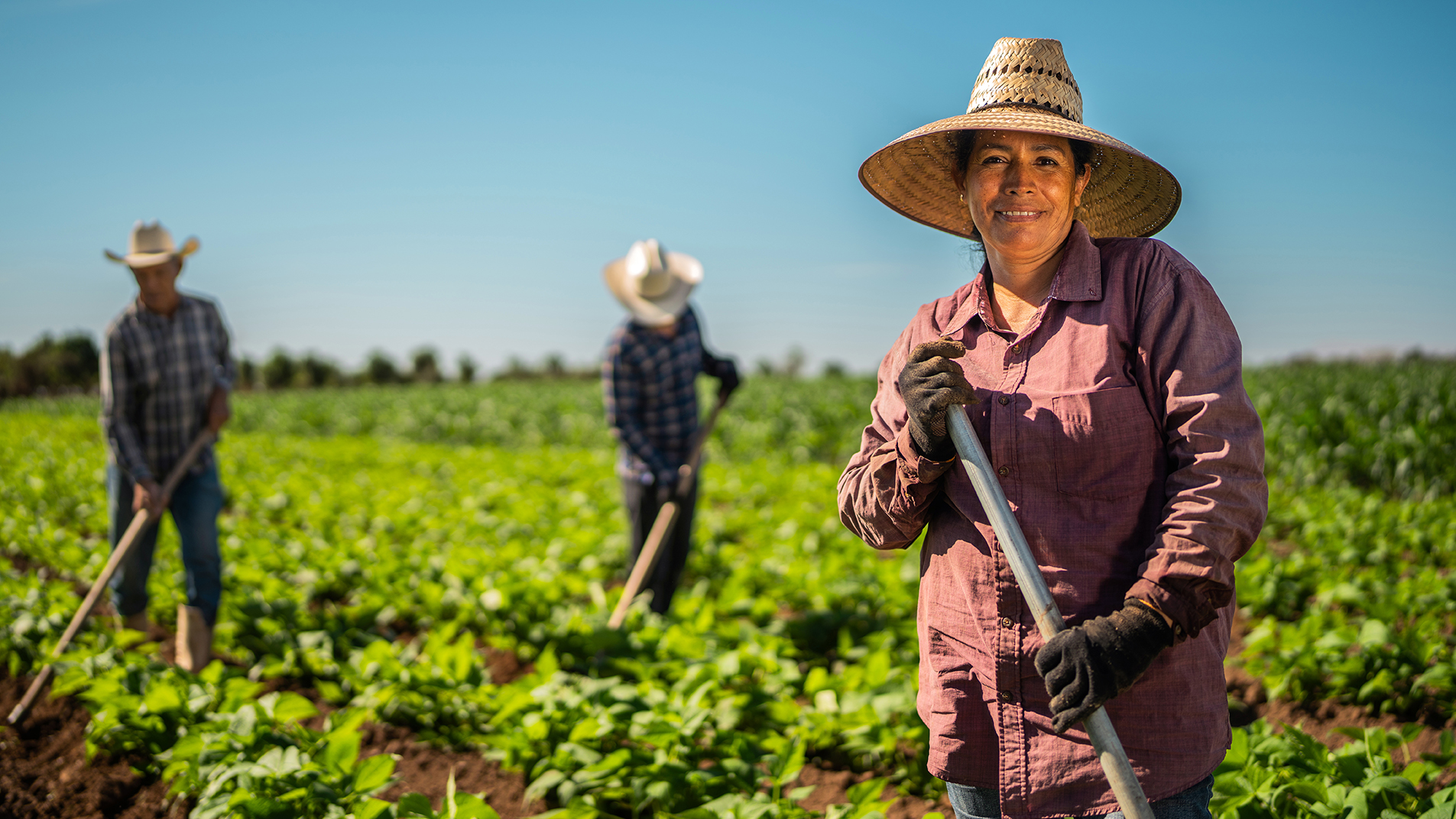 Workers standing in a field with equipment